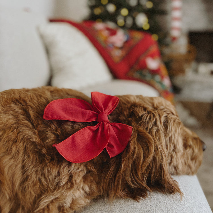 Dog with a red bow sitting on a couch in a cozy living room with a Christmas tree in the background.