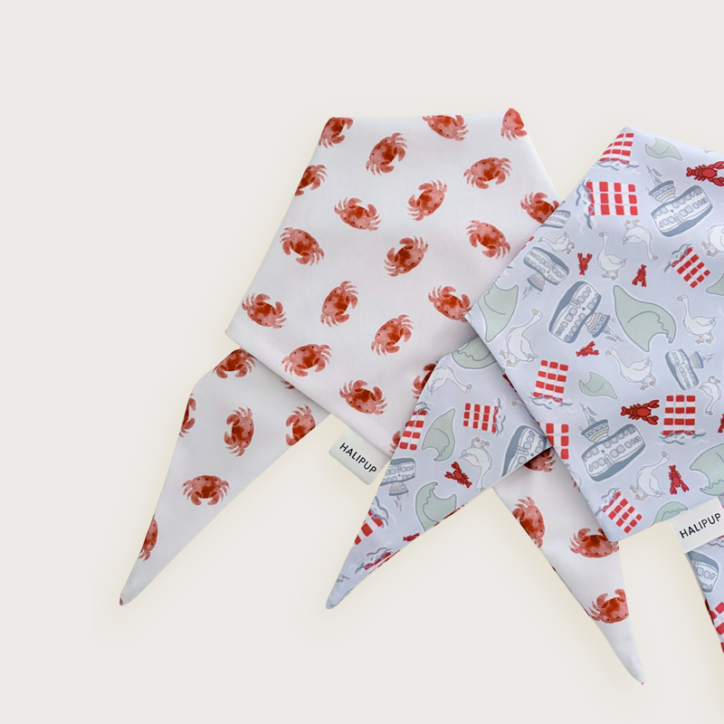 Halifax Harbour Dog Bandana
