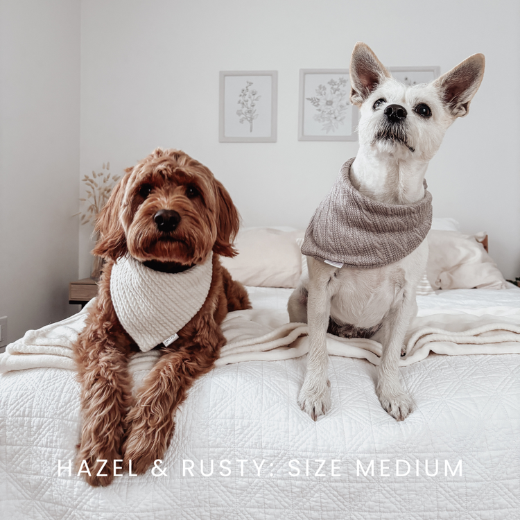 Brown Classic Knit Dog Bandana