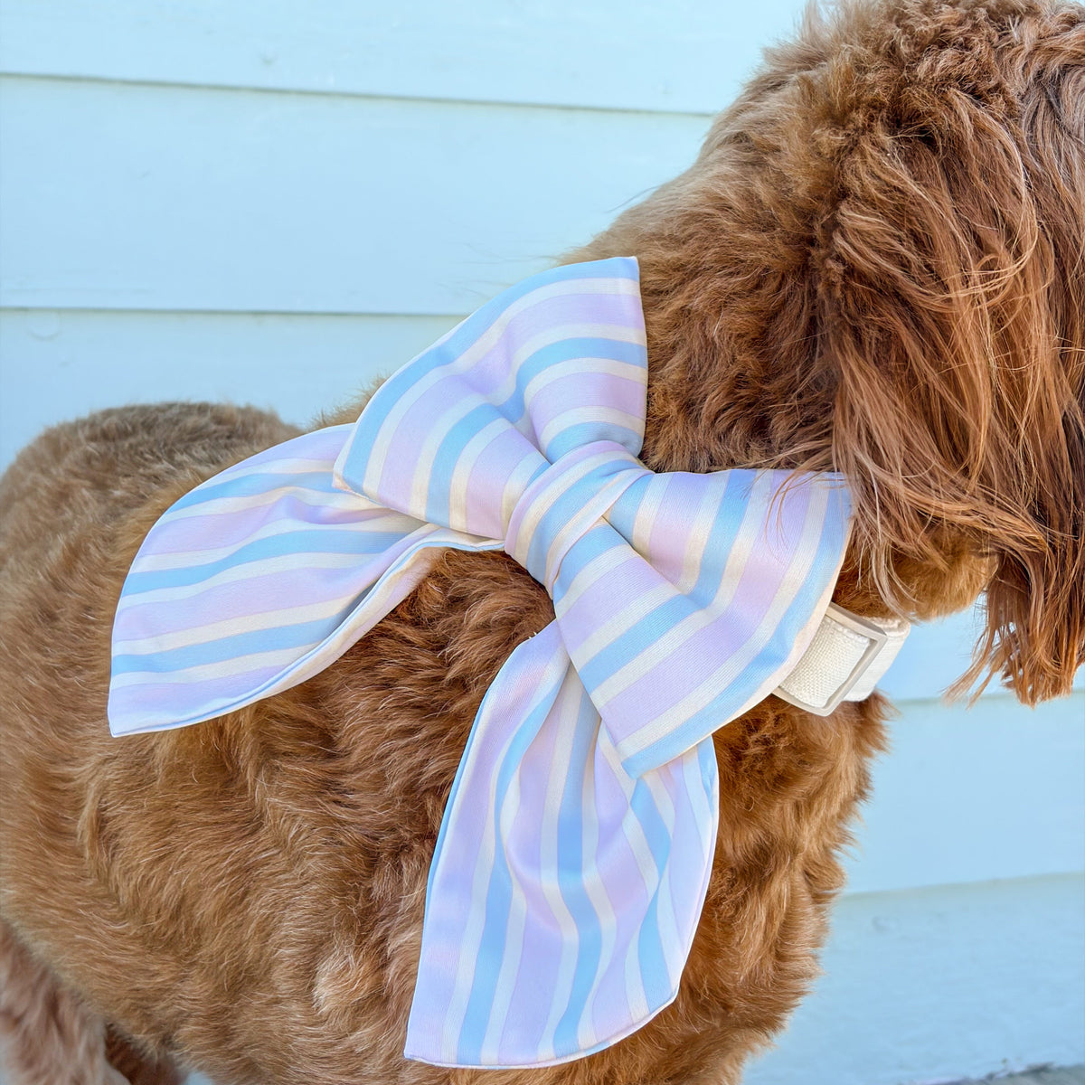 Waterbaby Stripe Sailor Dog Bow