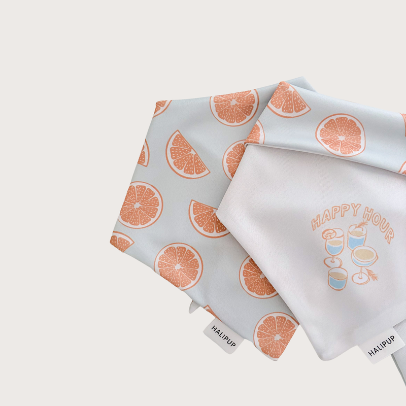 Pomelo Dog Bandana