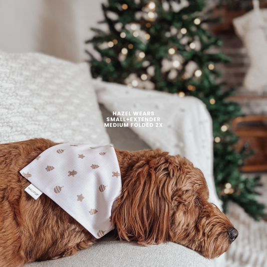Dog wearing a beige christmas cookies bandana with a Christmas tree in the background