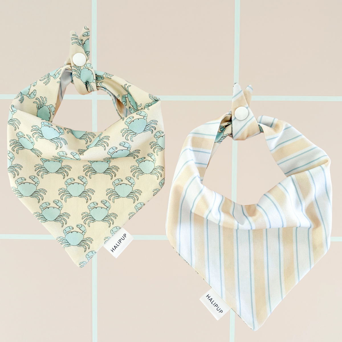 Capri Coast Sailor Dog Bow