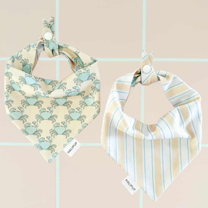 Capri Coast Dog Bandana