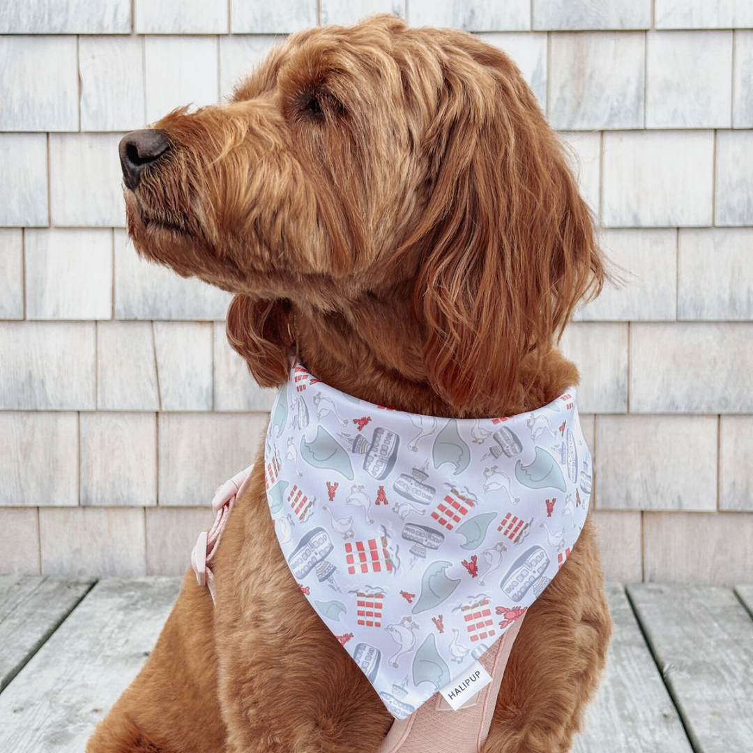 Harbour City Dog Bandana