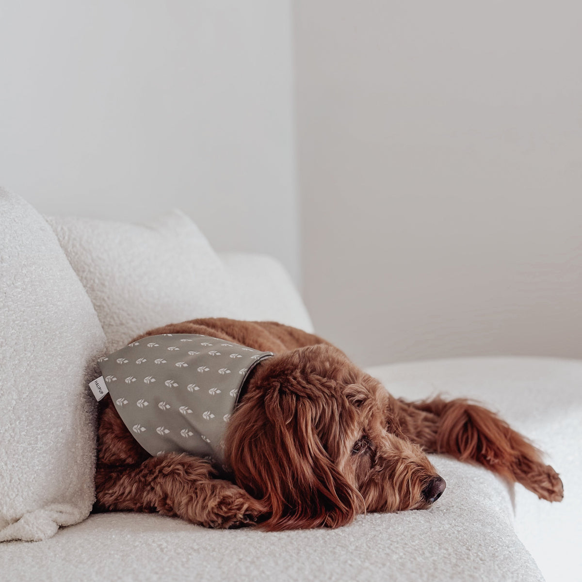 The Ellery Dog Bandana