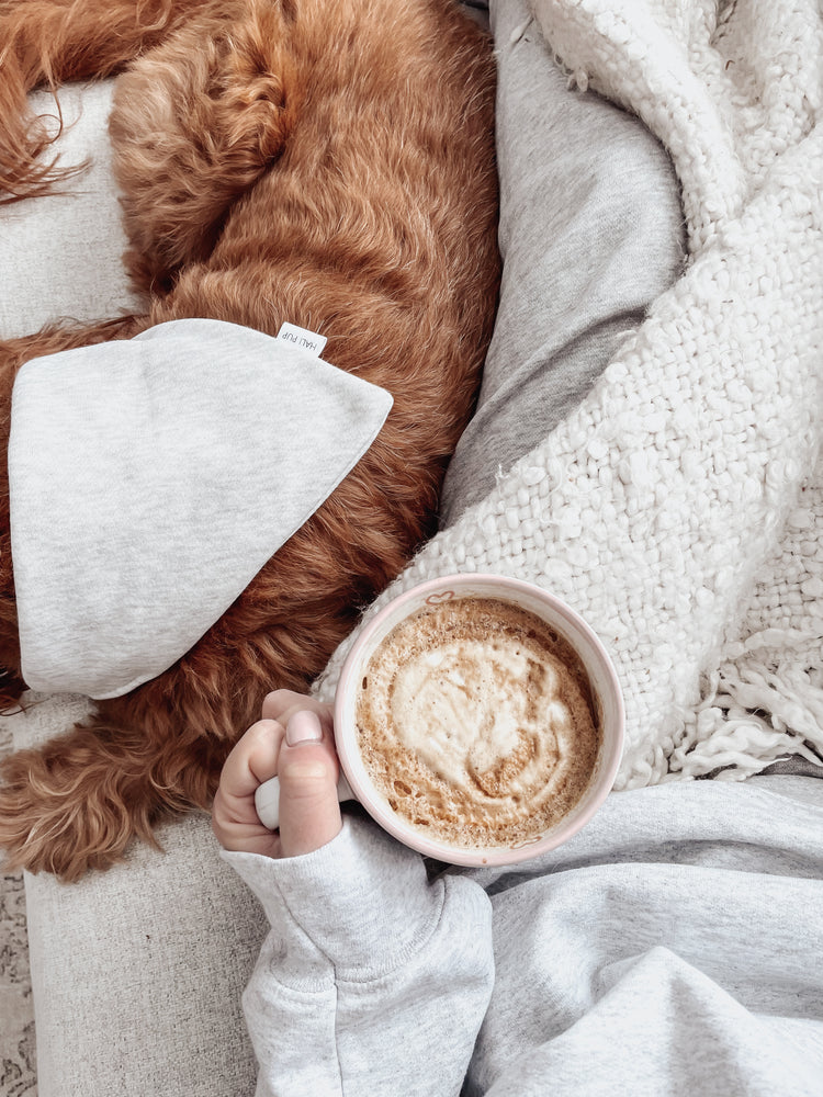 Pets In Sweats, knit Dog Bandana