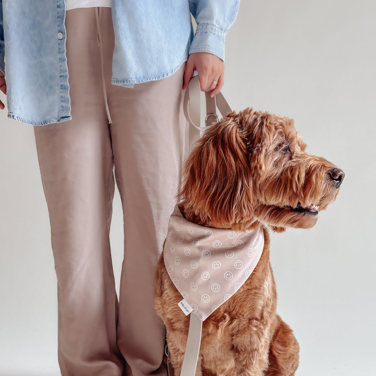 Sunday Stripes Dog Bandana