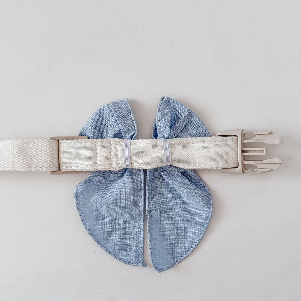 light blue dog bow on beige dog collar