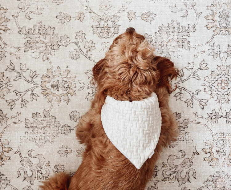 Beige knit Dog Bandana