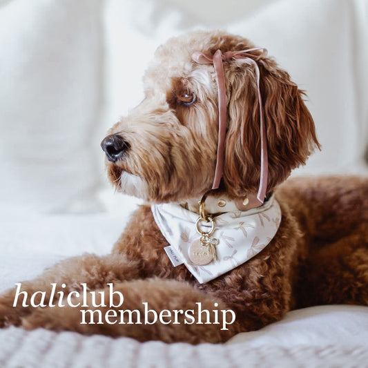 HALICLUB Membership