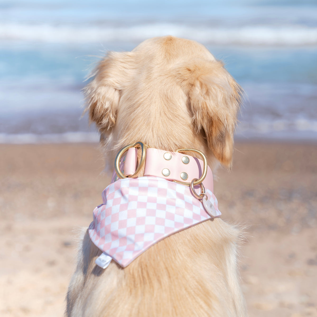 Berry Blush Dog Bandana