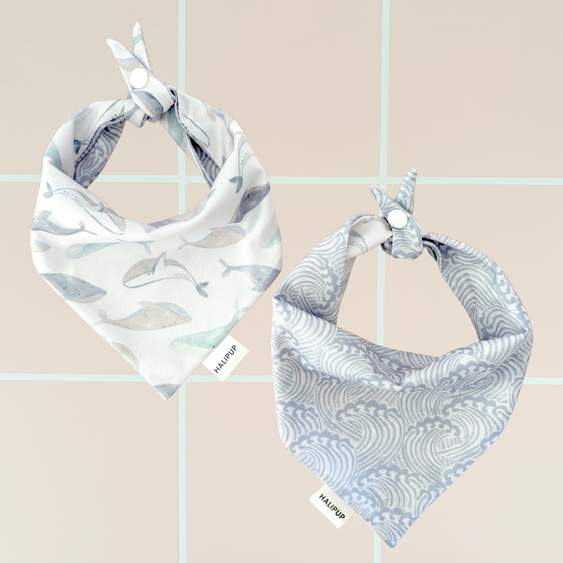 Whales & Waves Dog Bandana