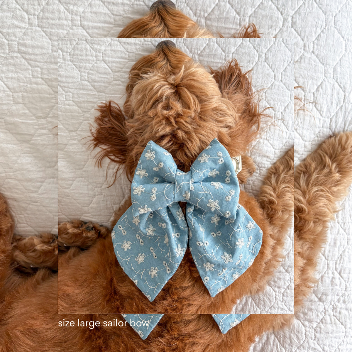 Denim Eyelet Sailor Bow