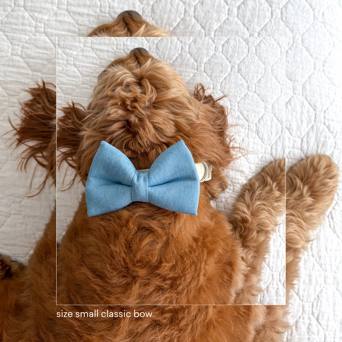Blue Denim Classic Bow