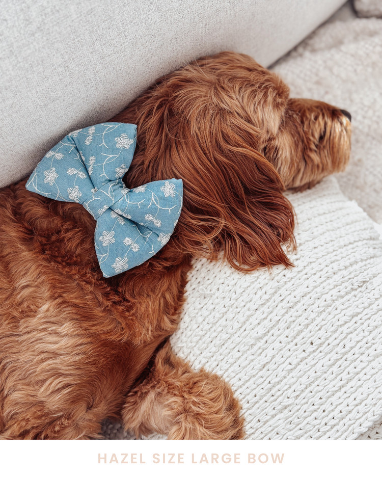 Denim Eyelet Dog Bow