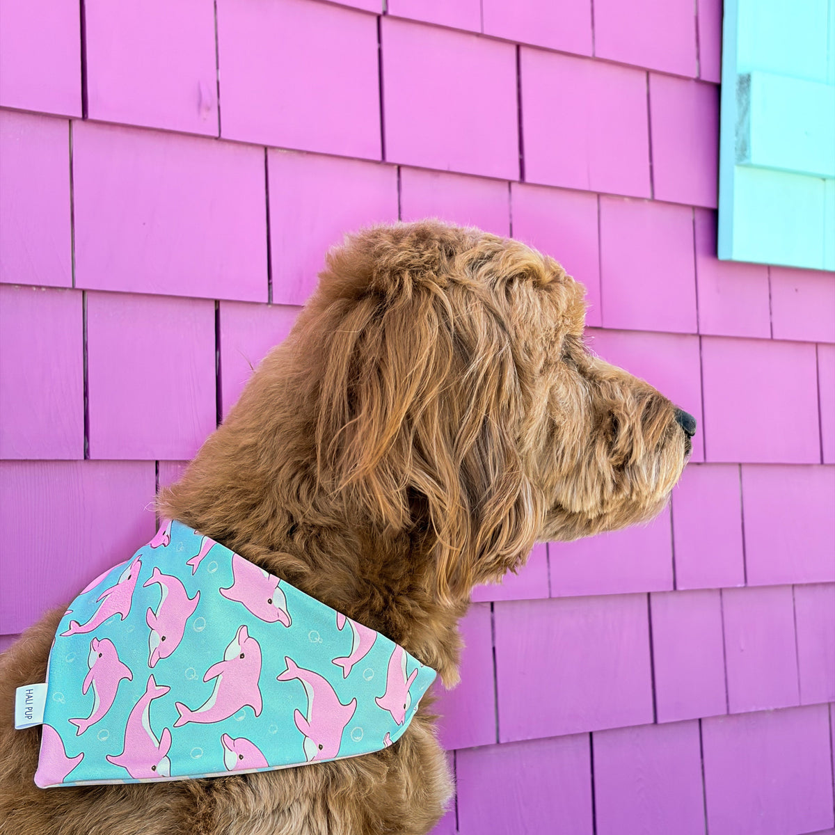 Malibu Crush Dog Bandana
