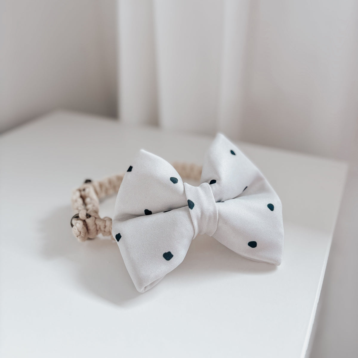 Black and White Polkadot Classic Dog Bow