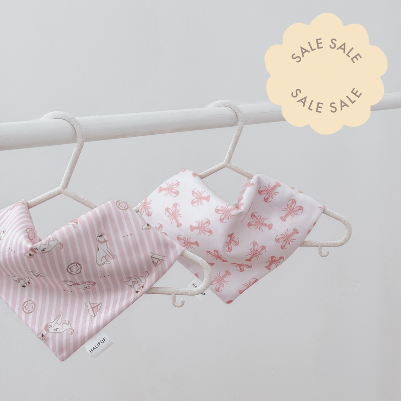 Minor Flaw Coastal Pup Dog Bandana