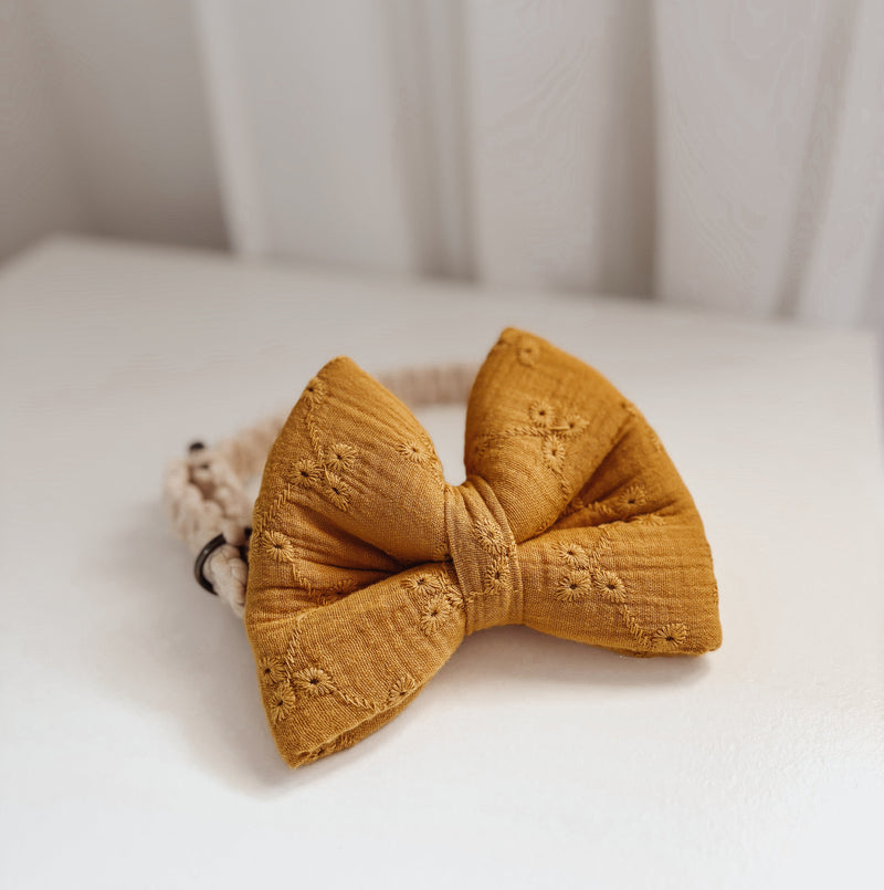 Golden Eyelet Classic Dog Bow