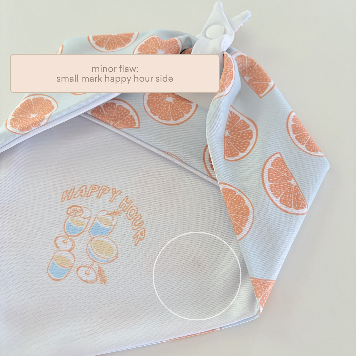 Minor Flaw Pomelo Dog Bandana