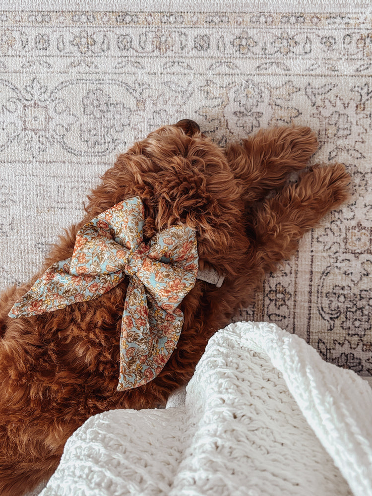 Flora Over The Collar dog bow