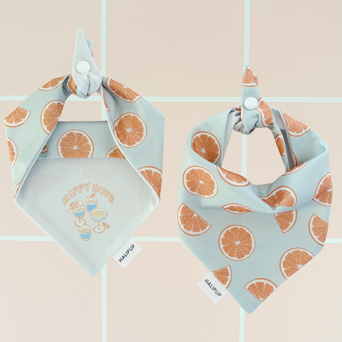 Pomelo Dog Bandana
