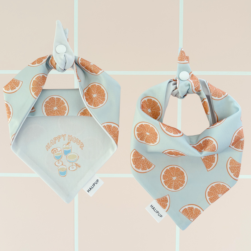 Pomelo Dog Bandana