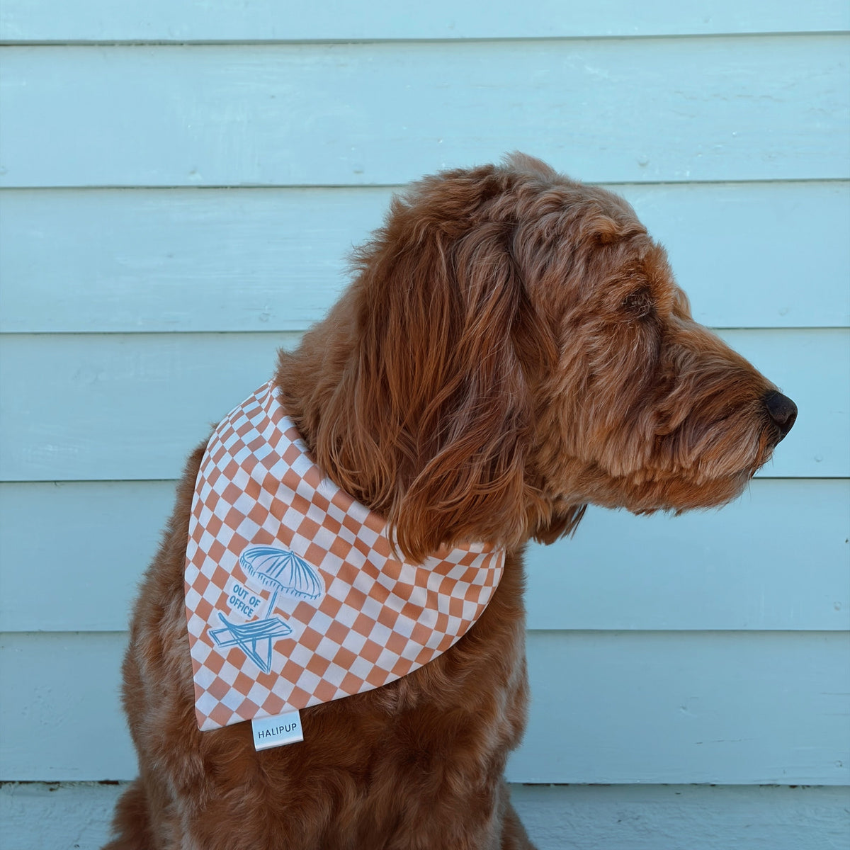 Porto Club Dog Bandana