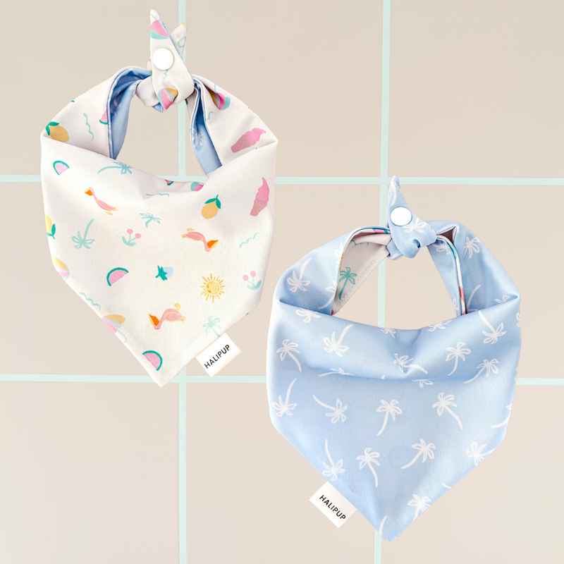 Cheeky Summer dog Bandana