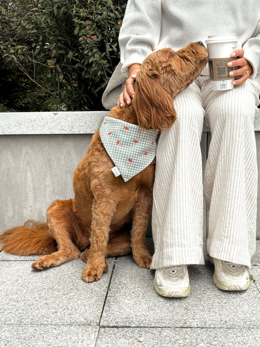 Pasture Lane Dog Bandana