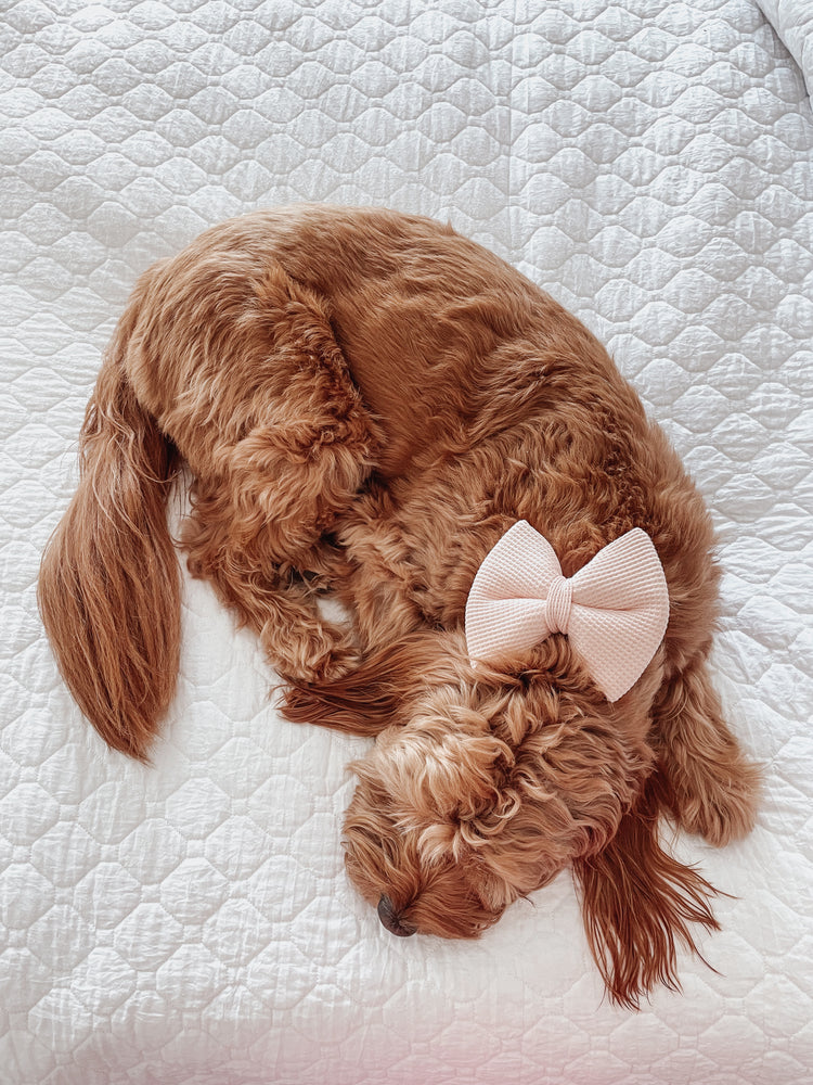 Blush Pink Knit Over The Collar Dog Bow