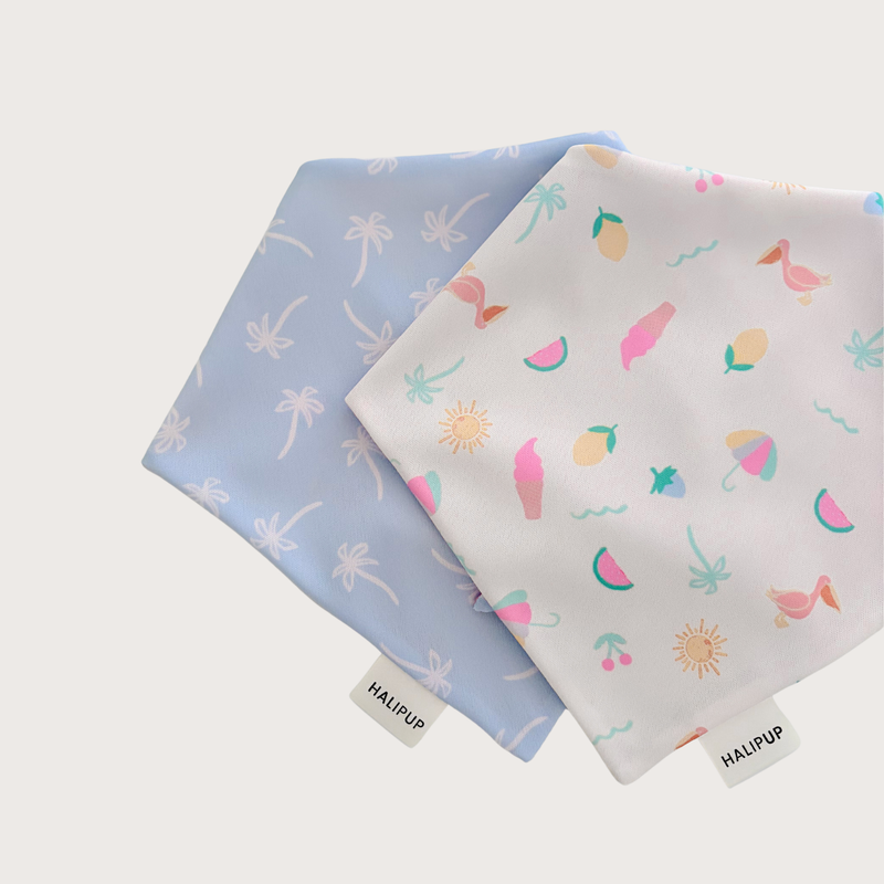 Cheeky Summer dog Bandana