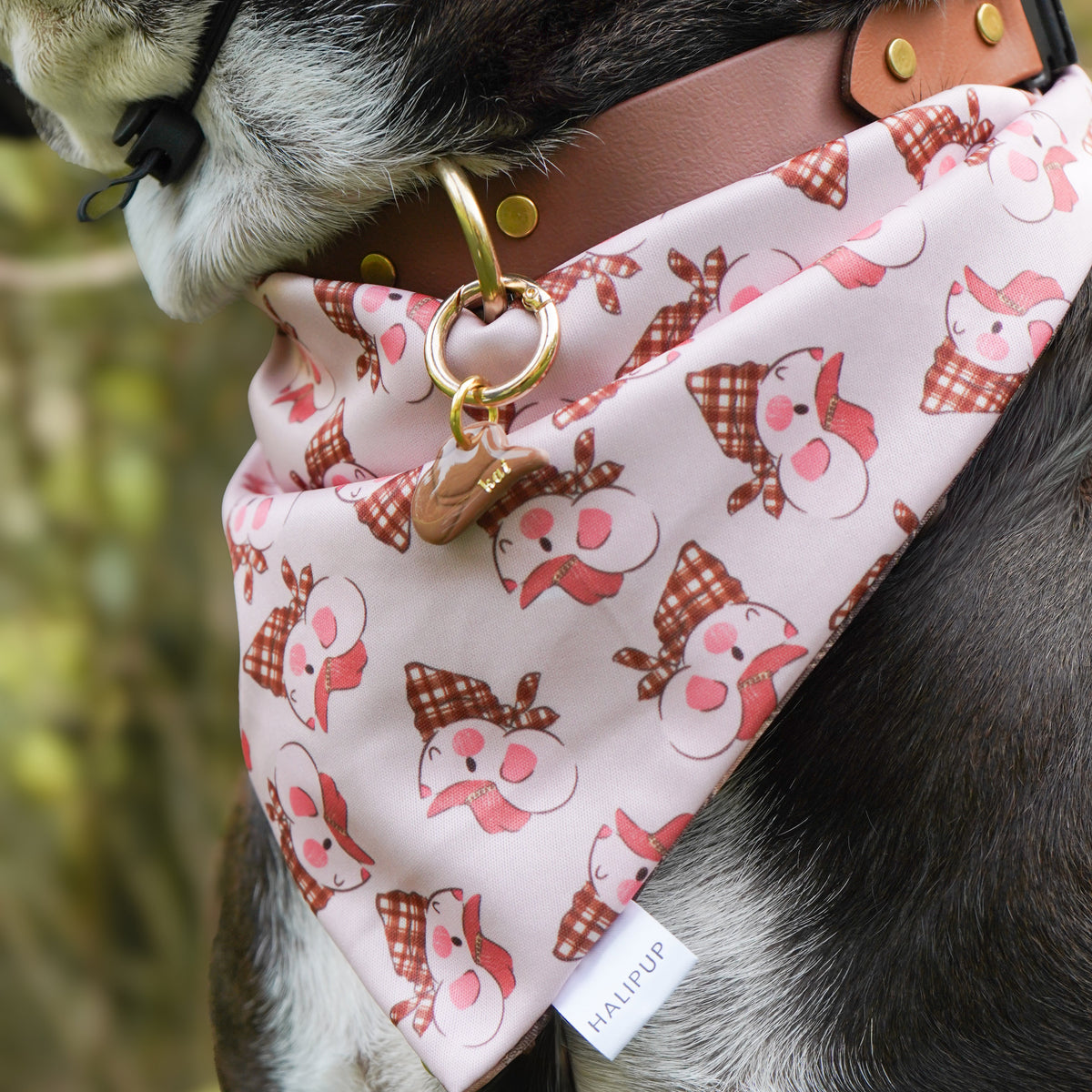 Dog wearing bandana with a pattern of country mice in cowboy hats 