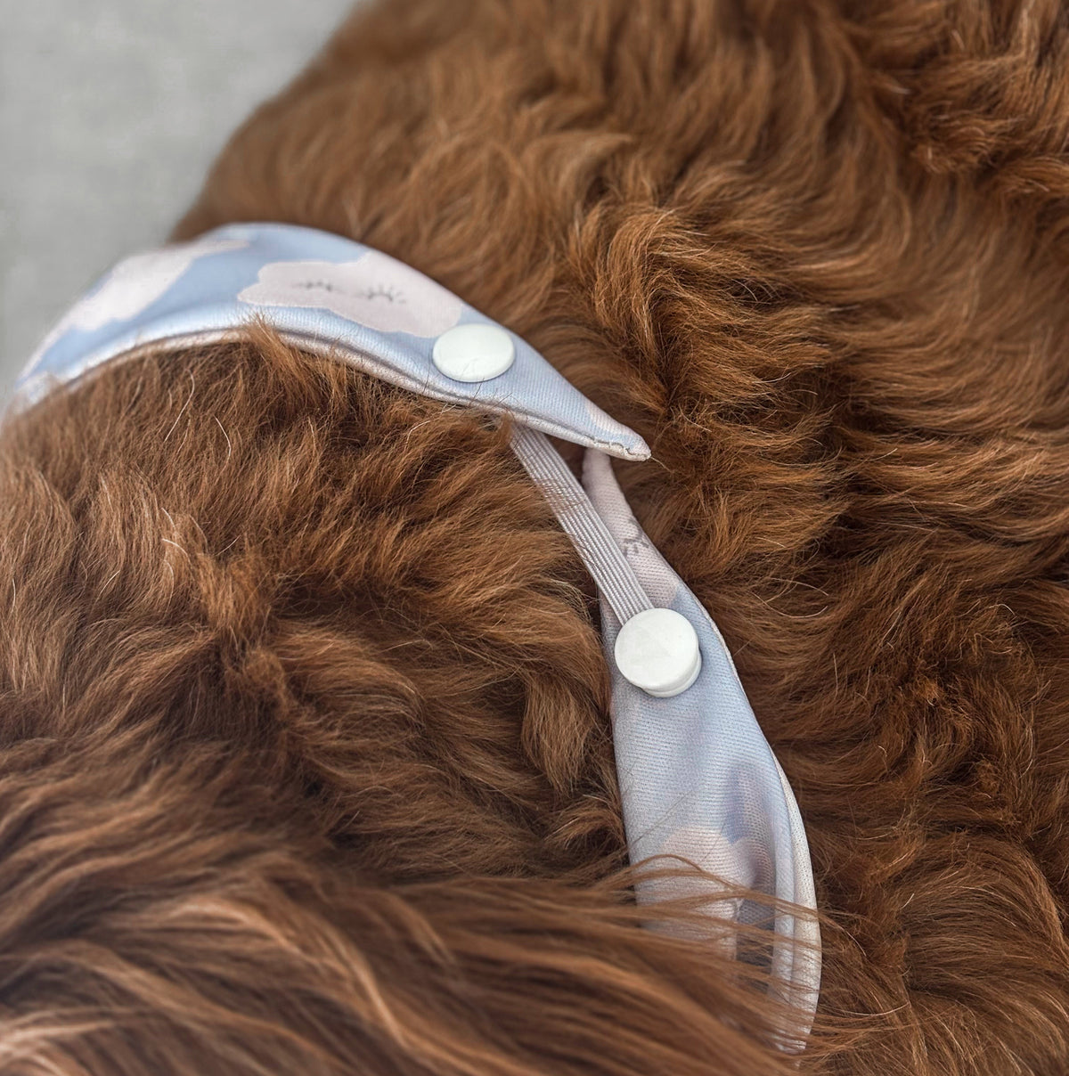 Bandana Extender