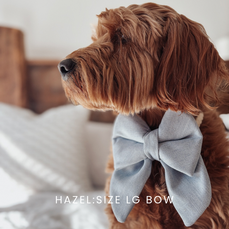 Denim Over The Collar Dog Bow