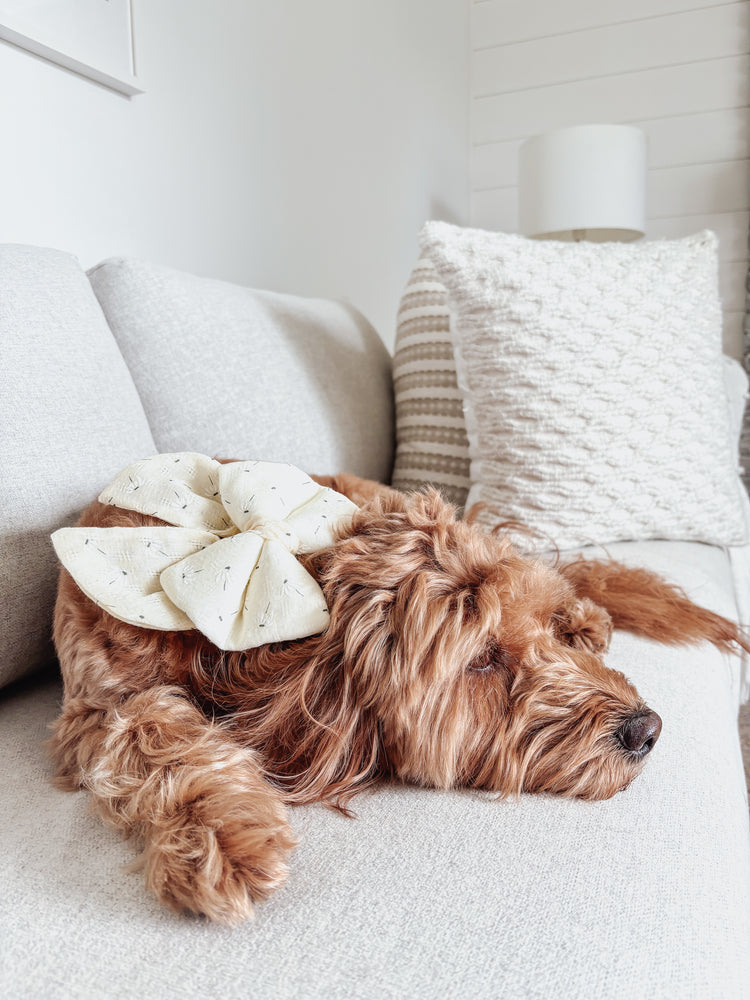 Yellow Daisy Knit Over The Collar Dog Bow