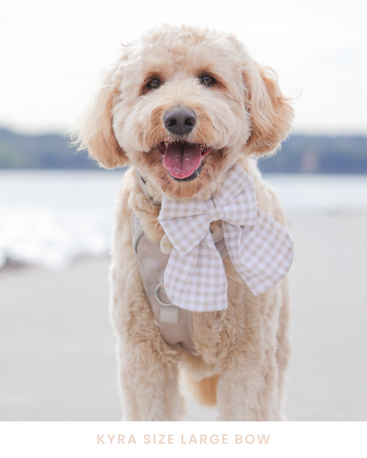 Oat Gingham Dog Bow