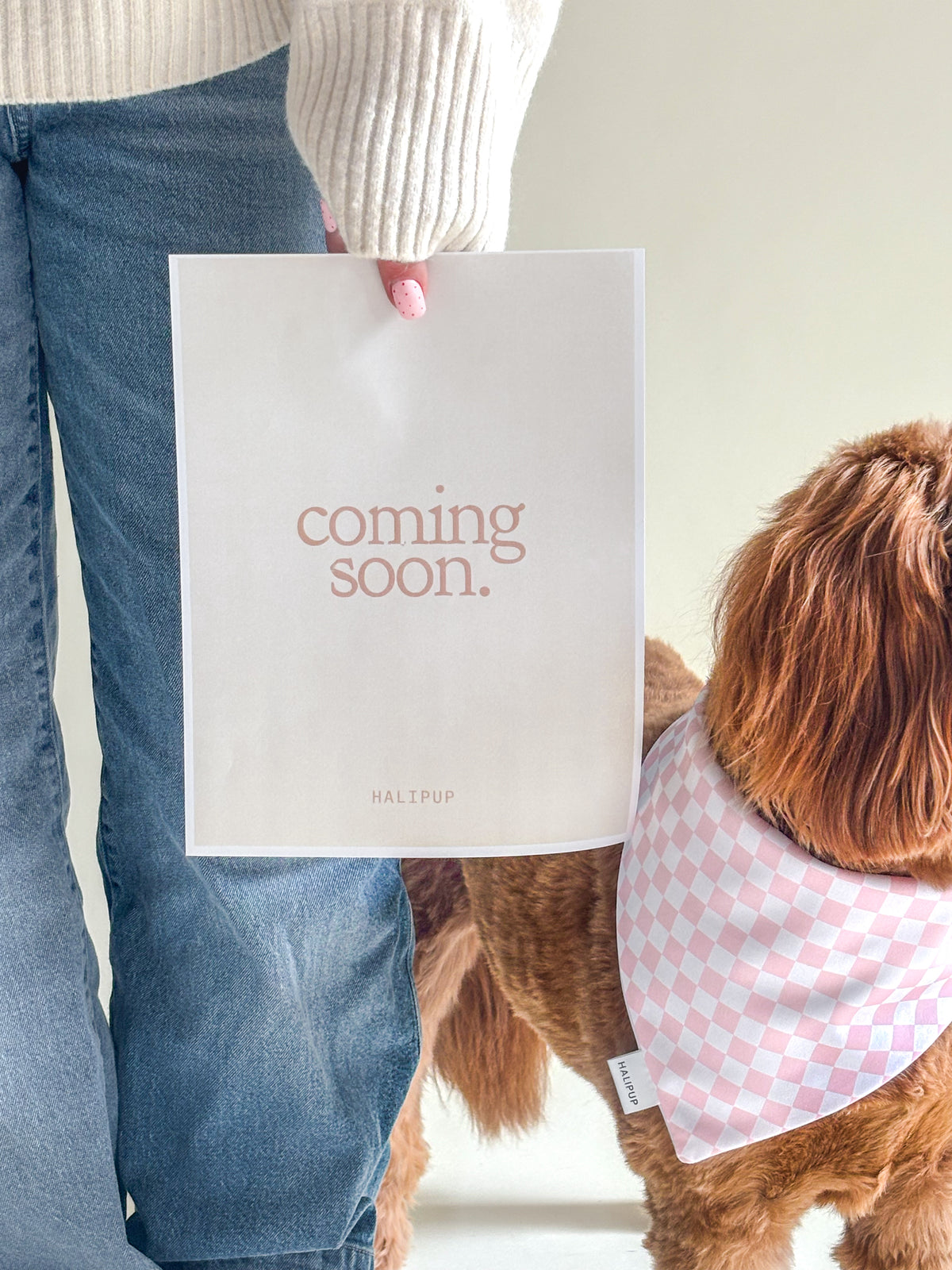 Berry Blush Dog Bandana