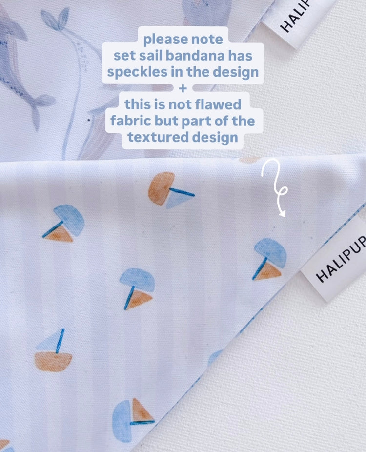 Set Sail Dog Bandana