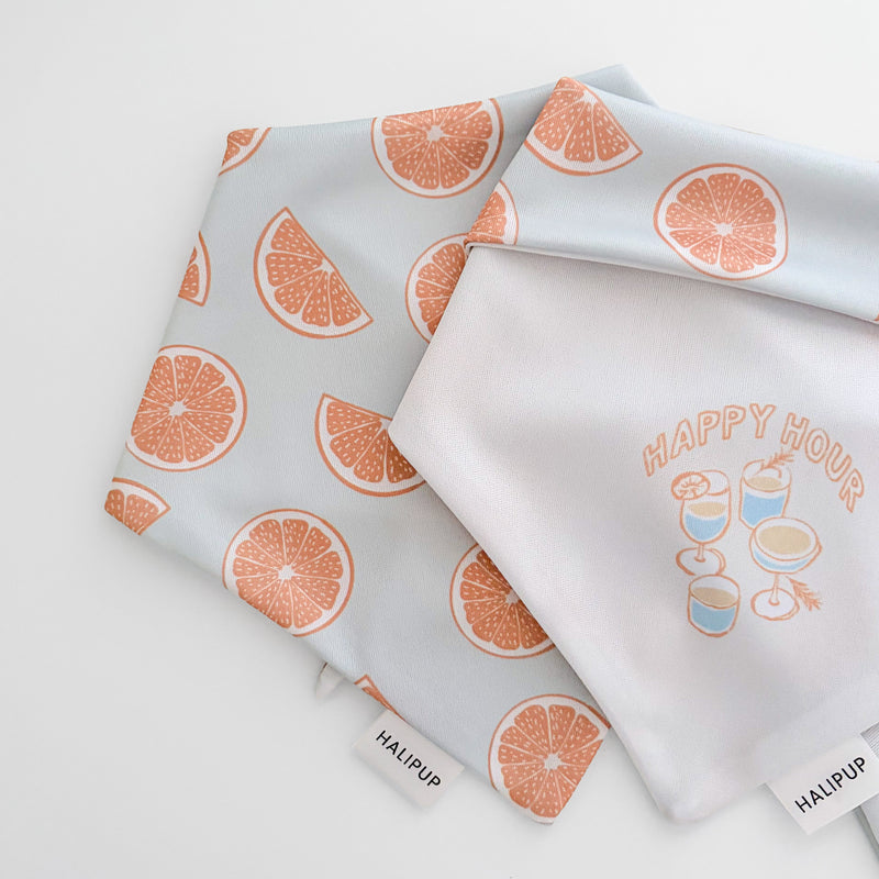Pomelo Dog Bandana