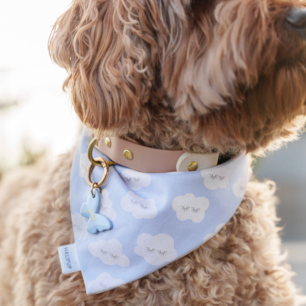 Minor Flaw Morning Linen Dog Bandana