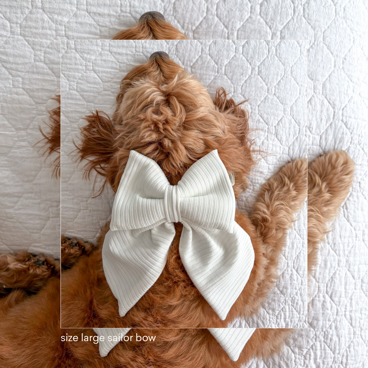 White Ribbed Sailor Bow