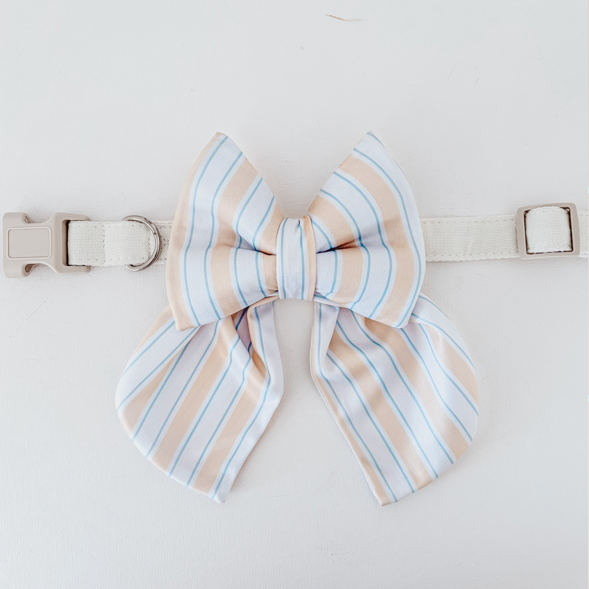 Capri Coast Sailor Dog Bow