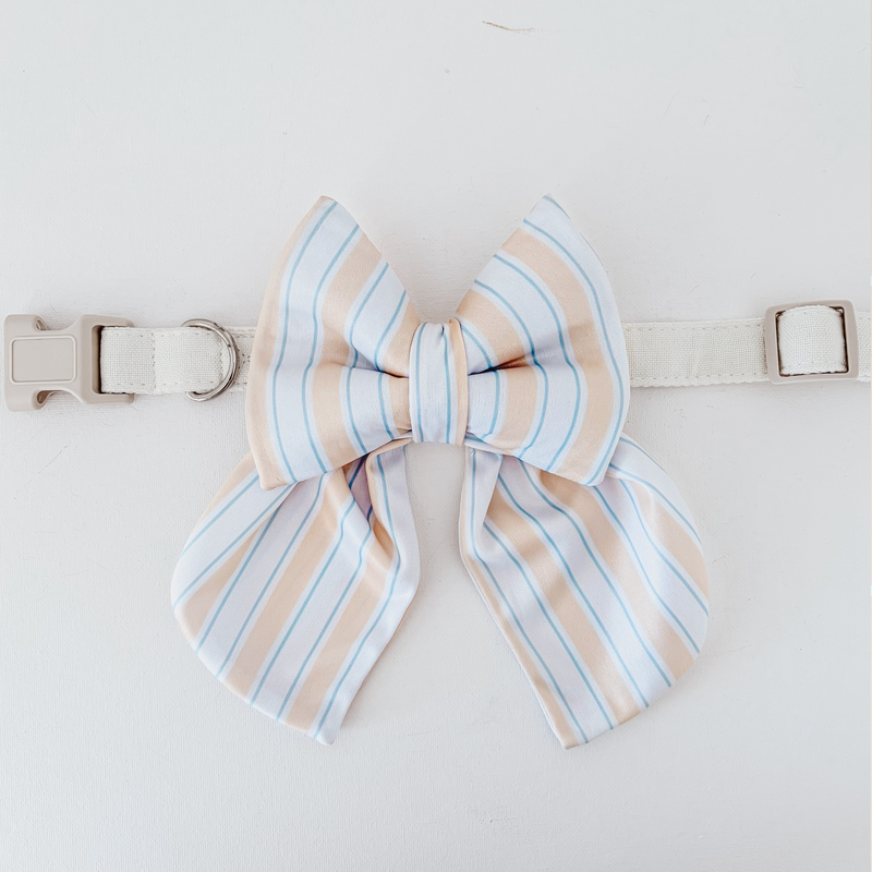 Capri Coast Sailor Dog Bow