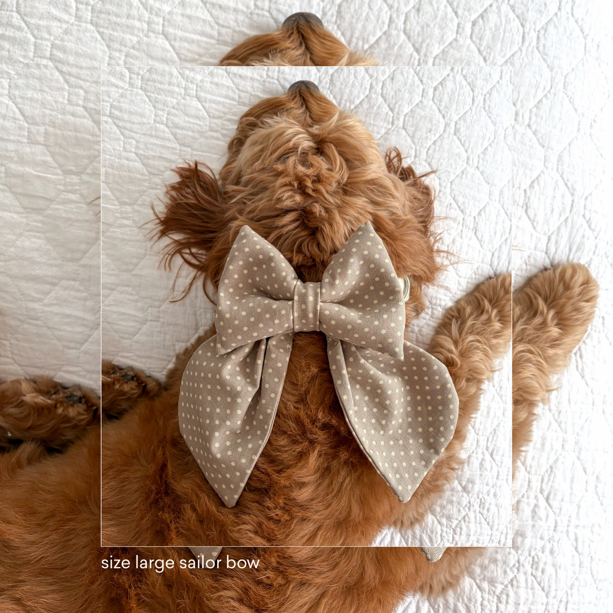 Beige Polkadot Sailor Bow