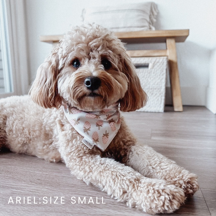 Ditzy Strawberries with Reversible Bows Dog Bandana