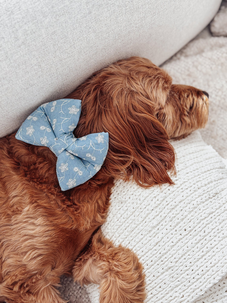 Denim Eyelet Dog Bow