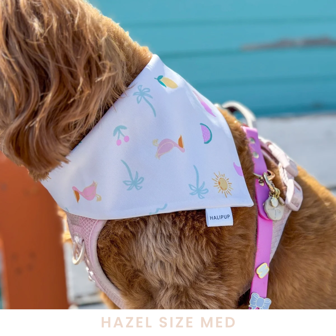 Cheeky Summer dog Bandana