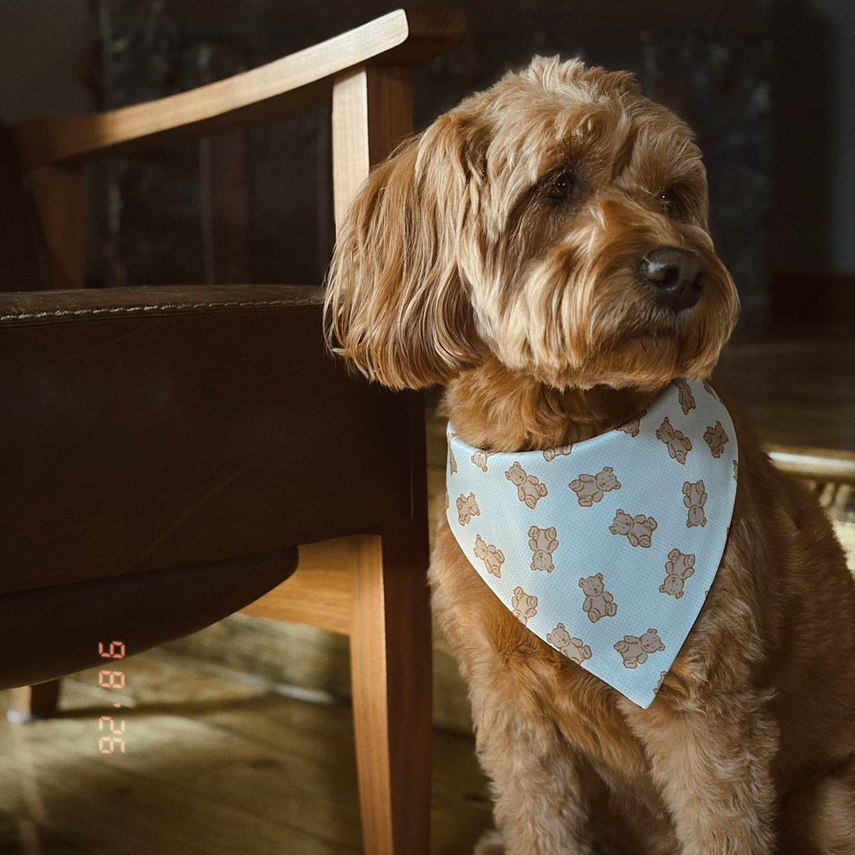 MINOR FLAW The Theodore Dog Bandana
